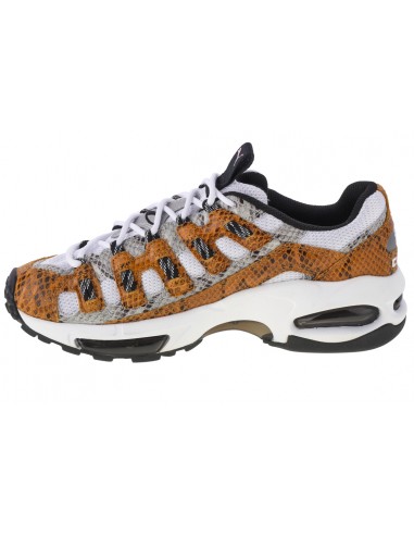 Puma Cell Endura Animal Kingdom 370926-01