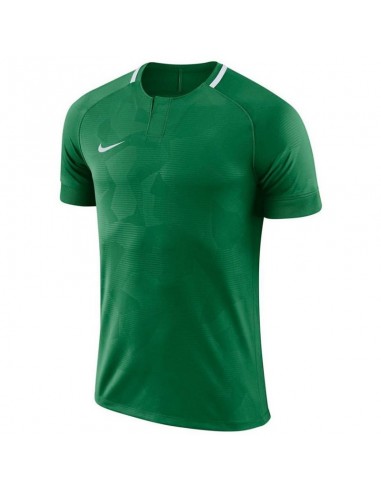 Nike Y NK Dry Chalang II JSY SS Jr 894053 341 T-shirt