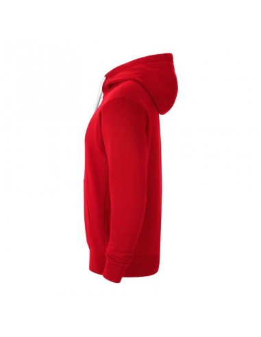 Nike Park 20 M sweatshirt CW6887-657