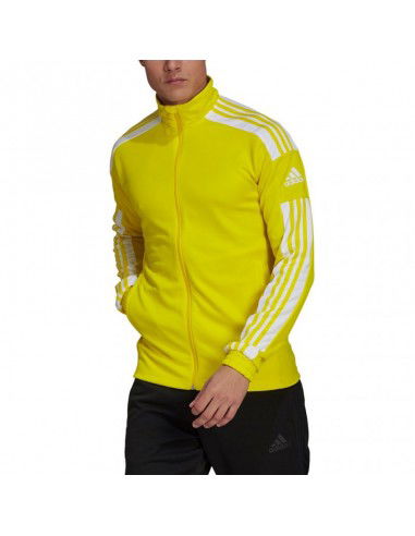 Adidas Squadra 21 Training M GP6465 sweatshirt
