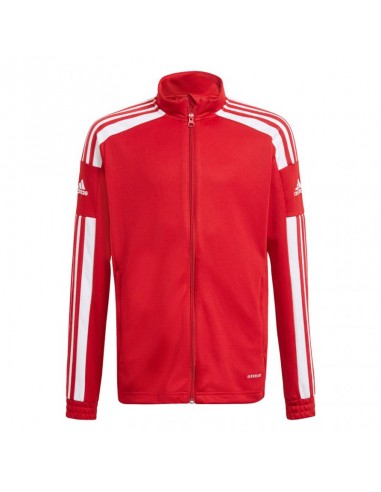 Adidas Squadra 21 Training Youth Jr GP6458 sweatshirt