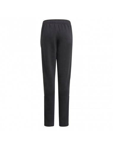 Adidas Tiro21 Sweat Jr GM7332 pants