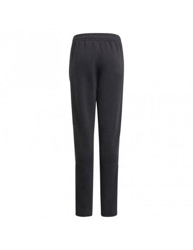 Adidas Tiro21 Sweat Jr GM7332 pants