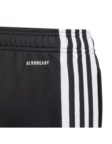 Adidas Squadra 21 Training Youth Jr GK9553 pants