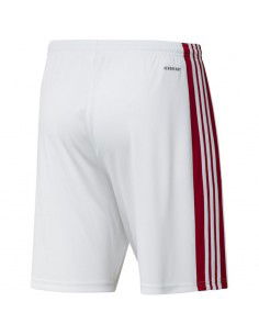 Adidas Squadra 21 Short M GN5770 2