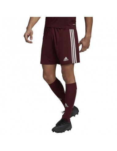 Adidas Squadra 21 Short M GN8083
