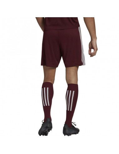 Adidas Squadra 21 Short M GN8083