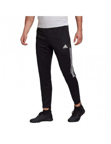 Adidas Tiro 21 Training M GH7306 pants