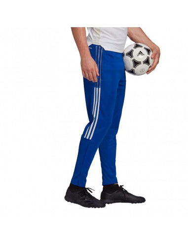 Adidas Tiro 21 Training M GJ9870 pants