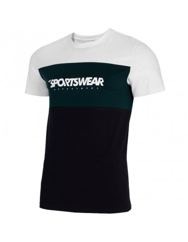 4F Ανδρικό T-shirt Με Στάμπα Πολύχρωμο H4L21-TSM016-11S