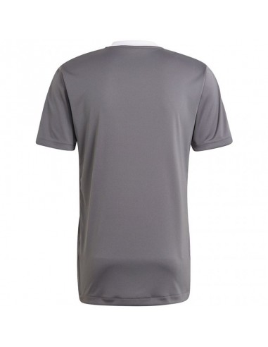 Adidas Tiro 21 Training Jersey M GM7587