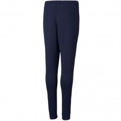 Puma teamRISE Poly Training Pants Junior 657391 06