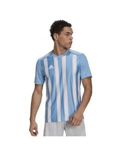 Tee adidas Striped 21 JSY M GN5845 2