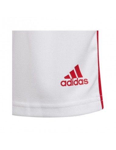Adidas Squadra 21 Jr GN5763 shorts