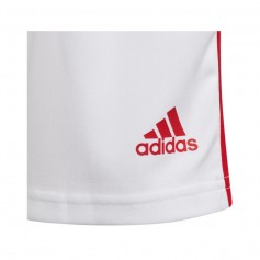 Adidas Squadra 21 Jr GN5763 shorts