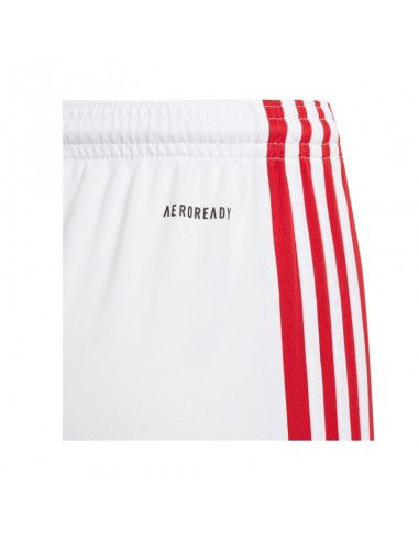 Adidas Squadra 21 Jr GN5763 shorts