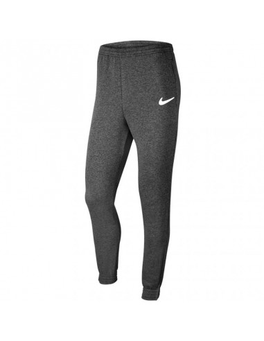 Nike Park 20 Fleece Jr CW6909 071 pants