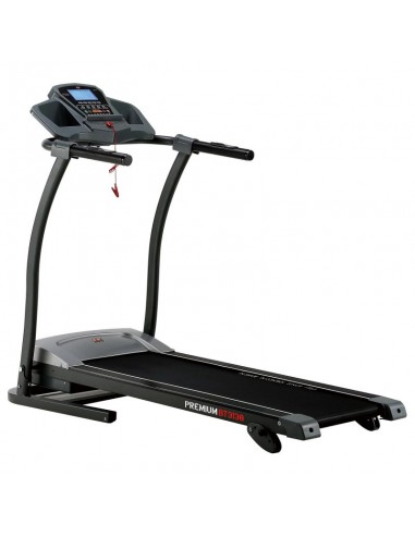 Electric treadmill PREMIUM BT 3138