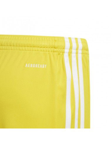 Adidas Squadra 21 Short Youth Jr GN5760