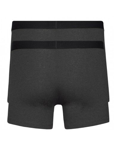 Levi's Boxer 2 Pairs Briefs 37149-0404