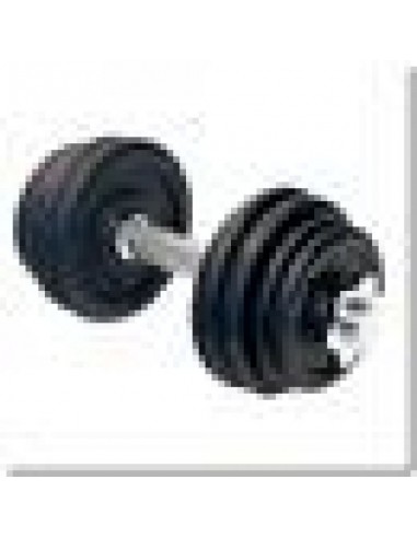 Dumbbell with HMS SG01 thread 7 kg