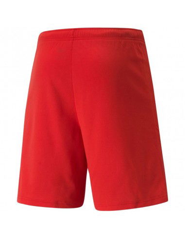 Puma teamRISE Short M 704942 01