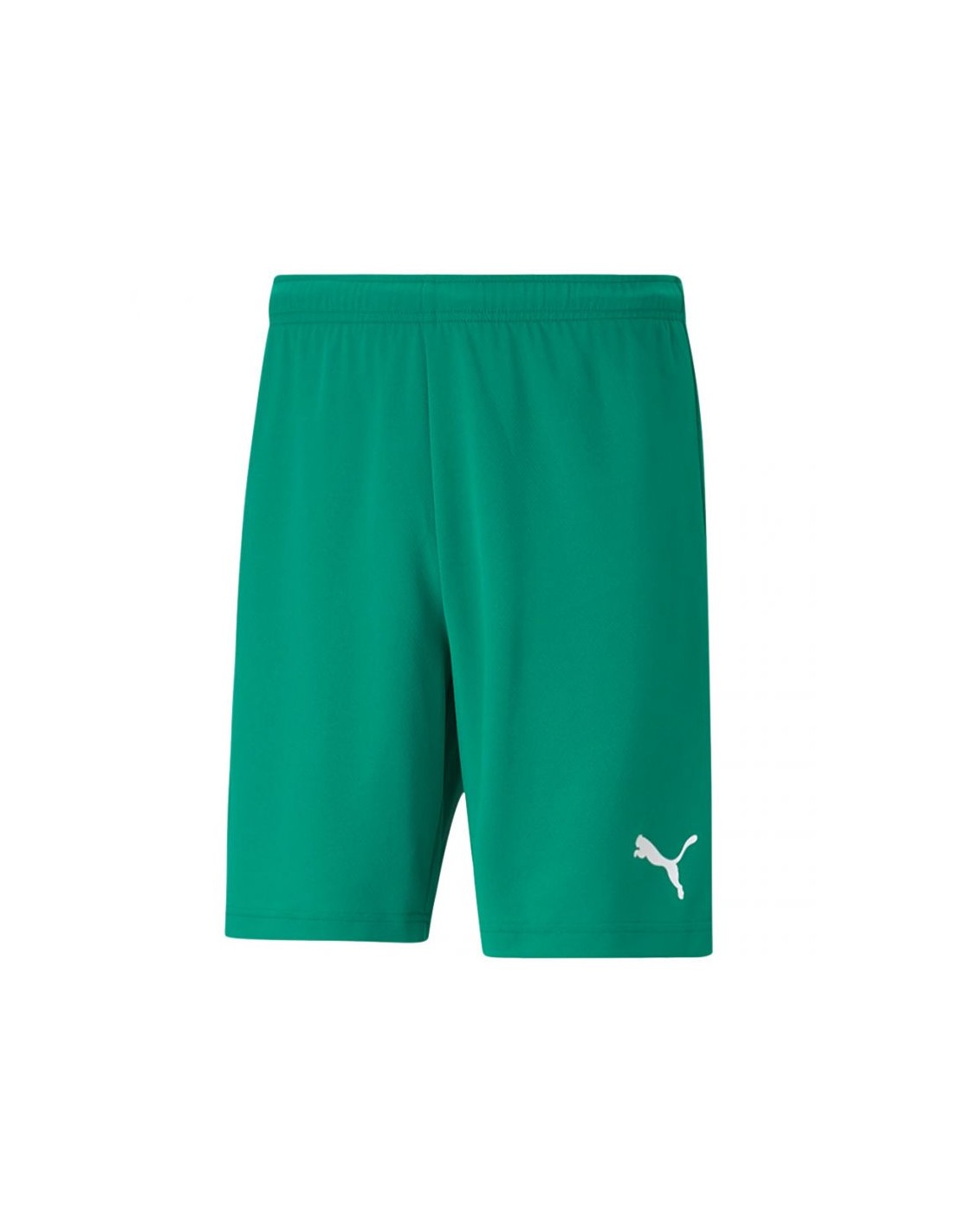 Puma Teamrise 704942-05 Ανδρικό Σορτς Εμφάνισης Ποδοσφαίρου