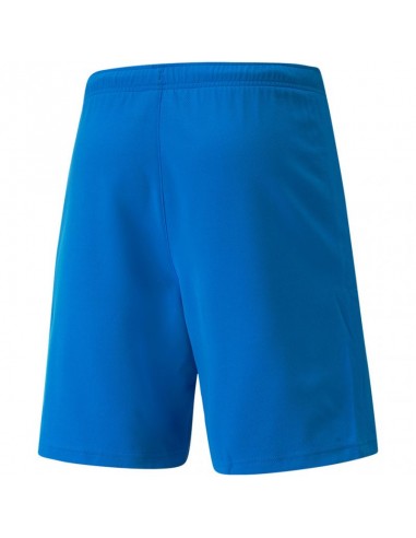 Puma teamRISE Short M 704942 02