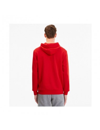 Puma TeamGoal 23 Casuals M 656580-01 sweatshirt