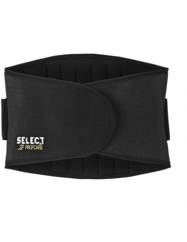 Lumbar support with Select support 6411