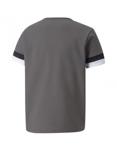 T-shirt Puma teamRise Jersey Jr 704938 13