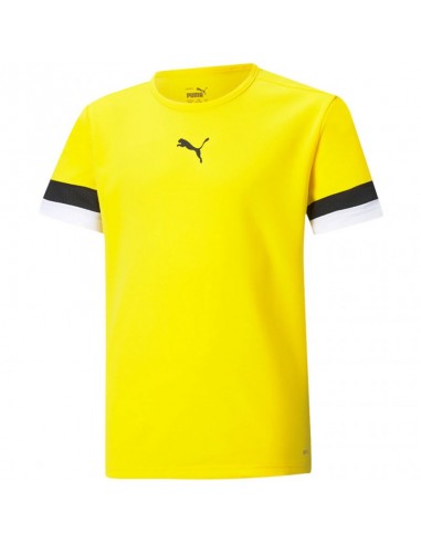 Puma teamRise Jersey Jr. 704938 07
