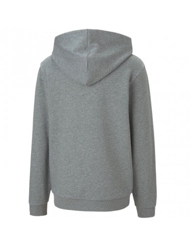 Puma teamGOAL 23 Casuals Hoody Jr 656711 33