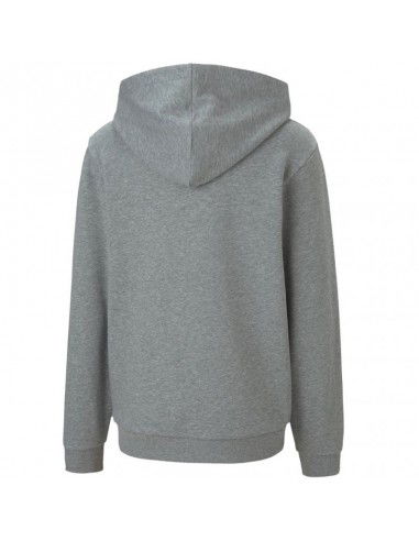 Puma teamGOAL 23 Casuals Hoody Jr 656711 33