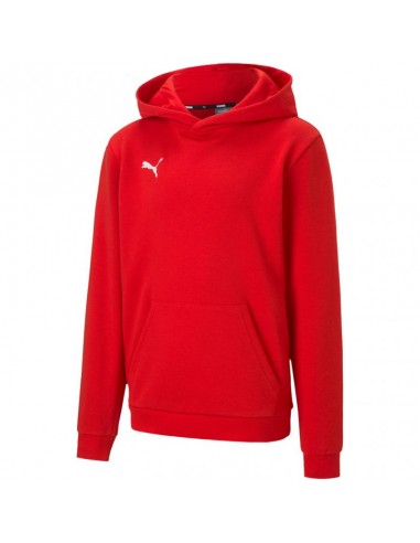 Puma teamGOAL 23 Casuals Hoody Jr 656711 01