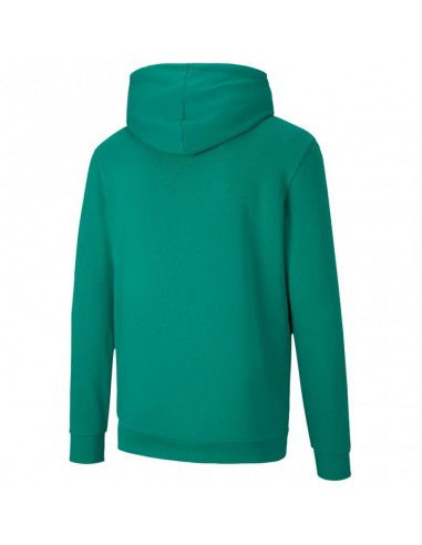 Puma teamGOAL 23 Casuals Hoody Jr 656711 05