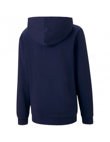 Puma teamGOAL 23 Casuals Hoody Jr 656711 06