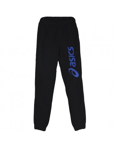 Asics Big Logo Sweat Jr Pant 2034A208-001