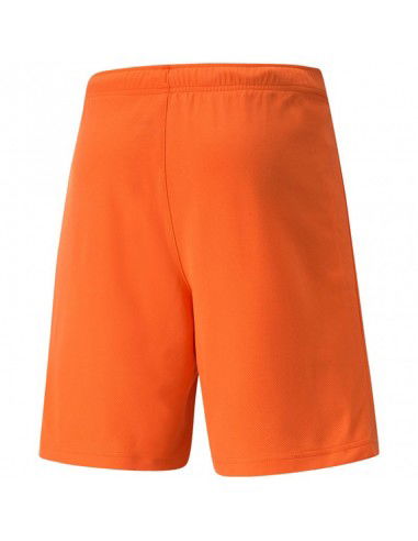 Puma teamRise Short Prist M 704942 08