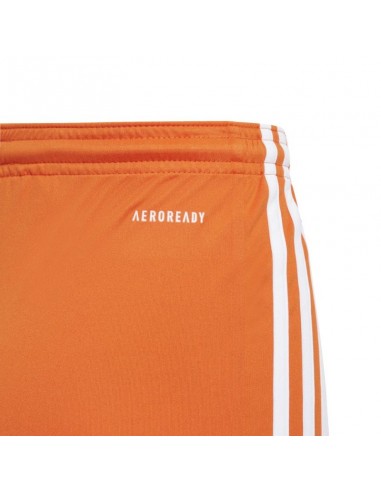 Shorts adidas Squadra 21 Jr GN8082