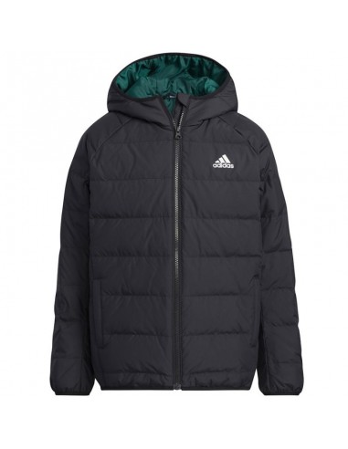 Jacket adidas Frosty Winter Jackett Jr H45034