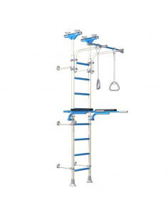 Wallbarz Gym EG-W-055 ladder