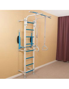 Wallbarz Gym EG-W-055 ladder 2