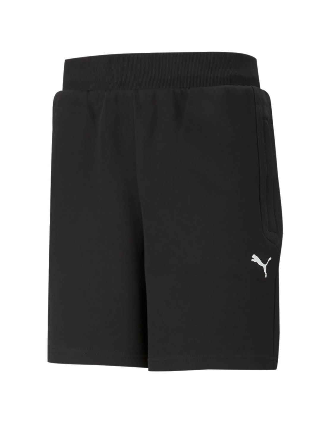 Puma Puma BMW M Motorsport Shorts 599523-01