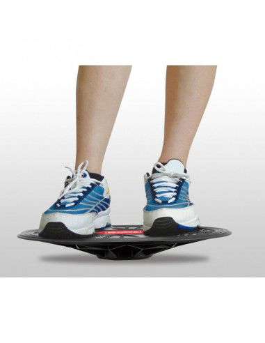 BB 6360 balance disc