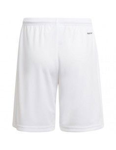 Adidas Squadra 21 Short Youth Jr GN5765 2