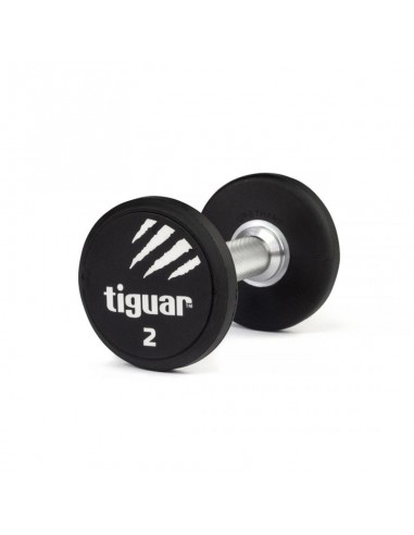 Dumbbell Tiguar PU 2 kg TI-WHPU0020