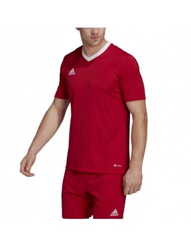 T-shirt adidas Entrada 22 M H61736