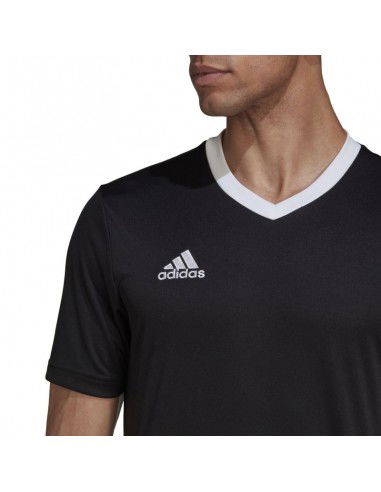 T-shirt adidas Entrada 22 M HE1573