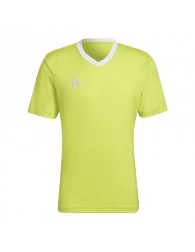 Tee adidas Entrada 22 M HC5077